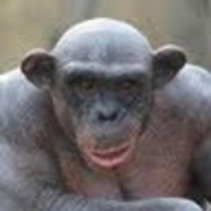 Meet your Posher, Nathan